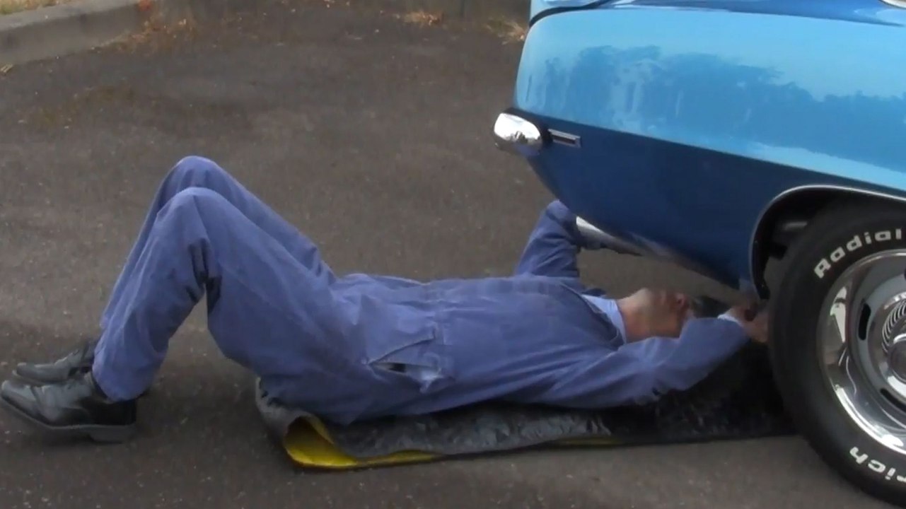 The Magic Creeper Is The Car Accessory You Must Own