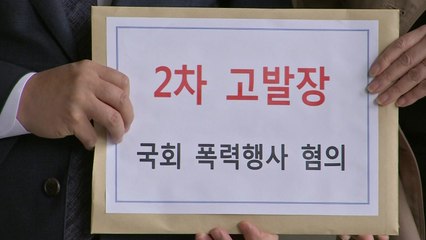 민주당, 한국당 의원 19명·보좌진 2명 2차 고발 / YTN