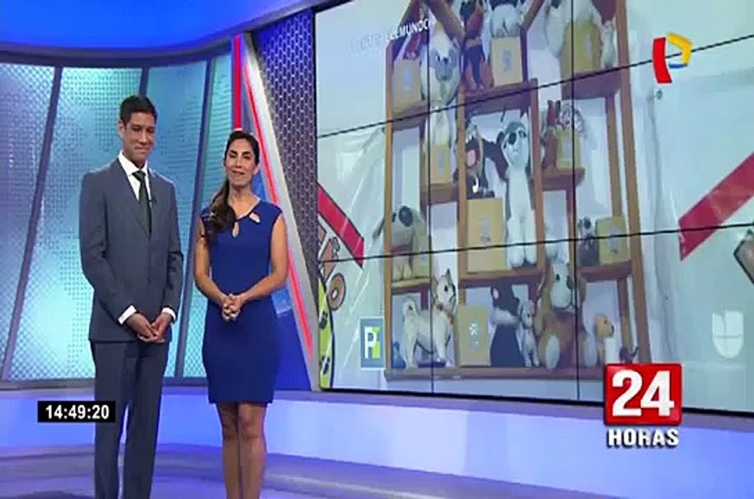 Pareja mexicana ha adoptado 66 mascotas en estado de abandono