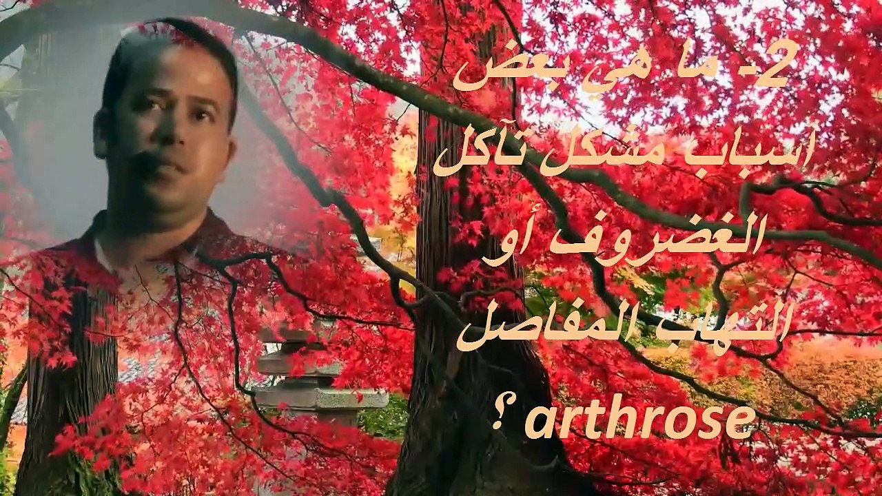 ما هي مختلف الأسباب التي تسبب تآكل الغضروف ؟.وما هي الوقاية؟مع الأستاذ محمد لحليمي