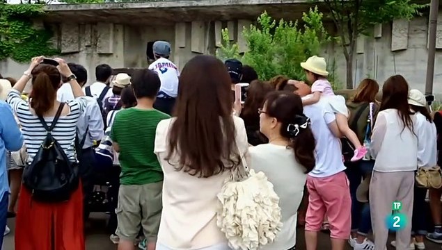 Extrañas maravillas del mundo. Serie 2. (6) - DOCUMENTAL - DOCUMENTALES CIENCIA - DOCUMENTALES INTERESANTES -DOCUMENTALES DE LA 2