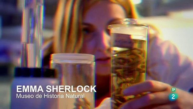 Extrañas maravillas del mundo. Serie 2. (8) - DOCUMENTAL - DOCUMENTALES CIENCIA - DOCUMENTALES INTERESANTES -DOCUMENTALES DE LA 2
