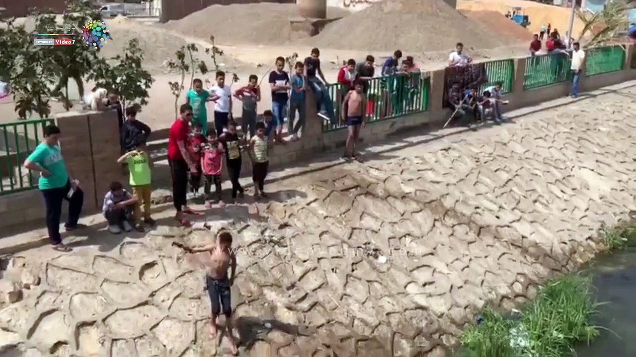 شاهد كيف تحتفل الكلاب بشم النسيم فى مدينة شبين بالمحلة