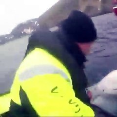 Russia Military training whales to attack