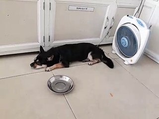 when you are going to school but still want to sleep