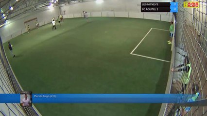 But de hugo (2-0) - LES MICKEYS Vs FC AQUITEL 2 - 29/04/19 19:00 - LIGUE 4  - Poitiers Game Parc