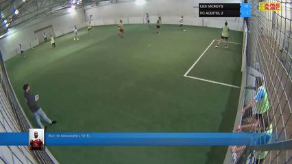 But de Alexandre (10-1) - LES MICKEYS Vs FC AQUITEL 2 - 29/04/19 19:00 - LIGUE 4
