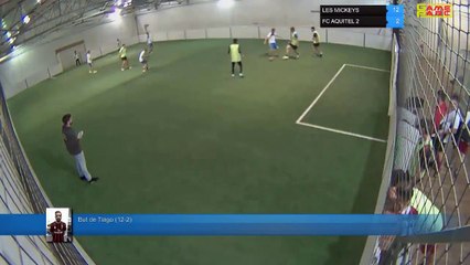 But de Tiago (12-2) - LES MICKEYS Vs FC AQUITEL 2 - 29/04/19 19:00 - LIGUE 4  - Poitiers Game Parc