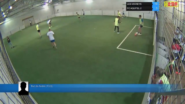 But de Andre (13-3) - LES MICKEYS Vs FC AQUITEL 2 - 29/04/19 19:00 - LIGUE 4 - Poitiers Game Parc