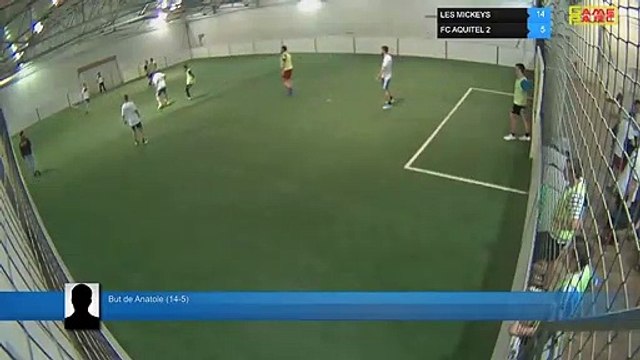 But de Anatole (14-5) - LES MICKEYS Vs FC AQUITEL 2 - 29/04/19 19:00 - LIGUE 4 - Poitiers Game Parc
