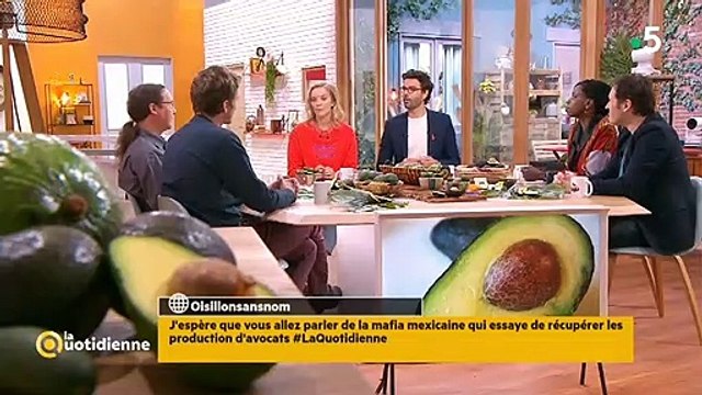 Mafia, sang, argent, morts : Découvrez l'envers du décor du succès des avocats, l'or vert - Vidéo