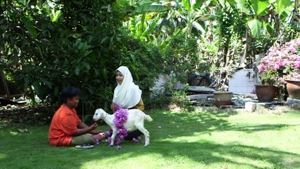 7 Hari Mencintaiku | Episod 3