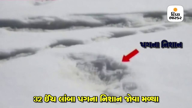 ભારતીય સેનાને હિમાલયમાં પગનાં નિશાન મળ્યાં, હિમમાનવ (યેતિ) હોવાની શક્યતા