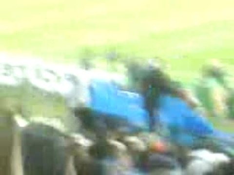 om-liverpool virage nord yankee