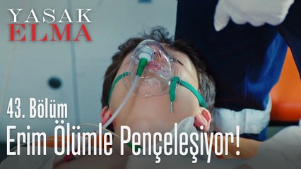 Erim ölümle pençeleşiyor! - Yasak Elma 43. Bölüm