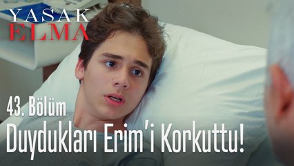 Olanları Erim'e nasıl anlattılar? - Yasak Elma 43. Bölüm