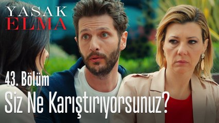 Zerrin'i şüphelendiren hareket! - Yasak Elma 43. Bölüm