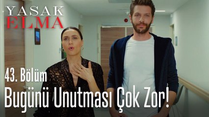 Ender'in içinin yağları eridi.. - Yasak Elma 43. Bölüm