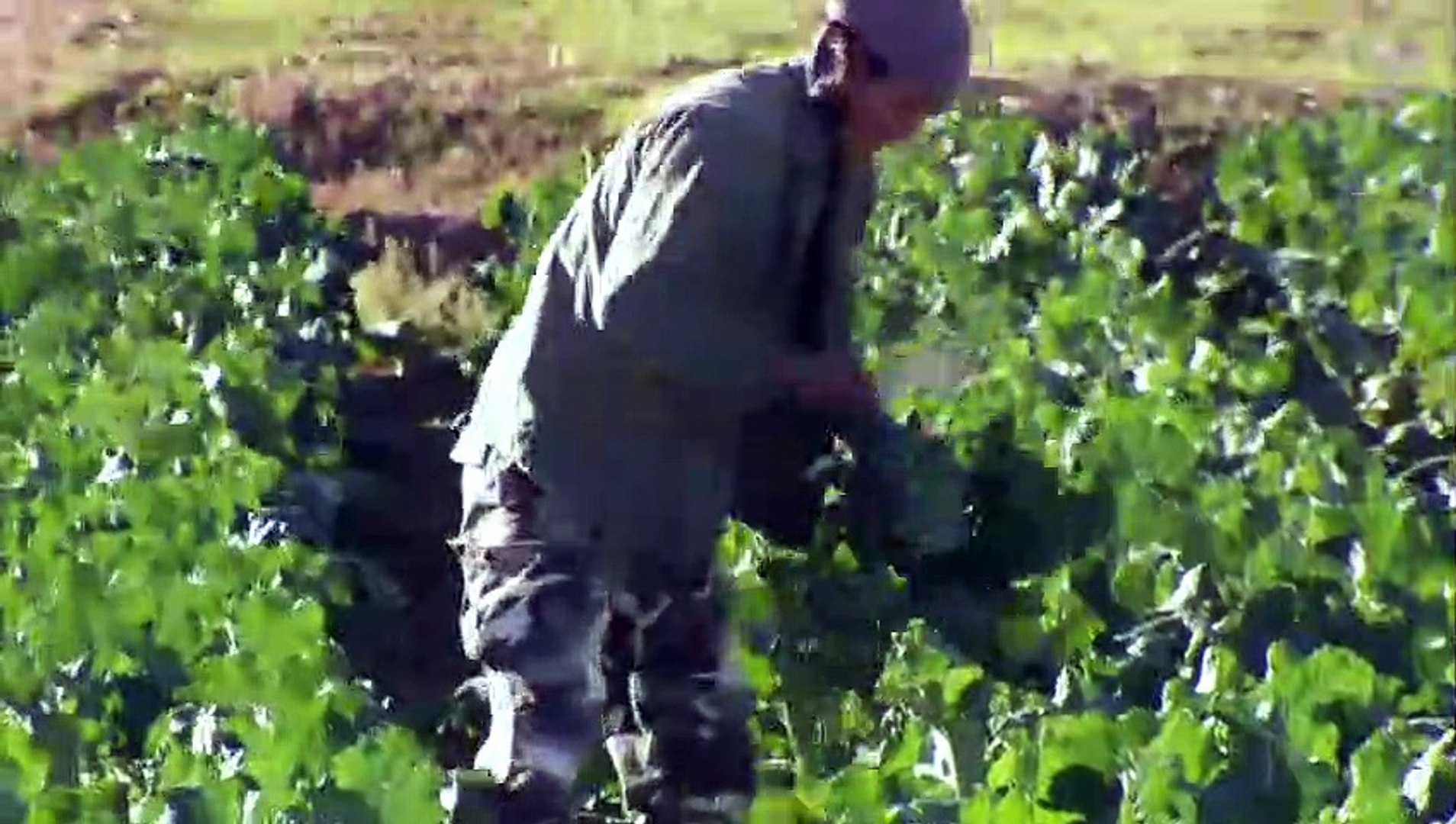 限界集落株式會社第5集 影片dailymotion