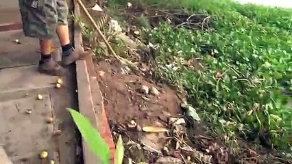 Gom ve chai đổi gạo cho người nghèo, hành động ý nghĩa được lợi đủ đường