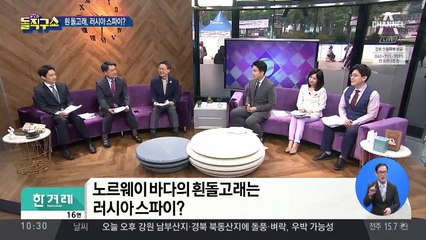 [핫플]노르웨이 해안 ‘흰 돌고래’ 러시아 스파이?