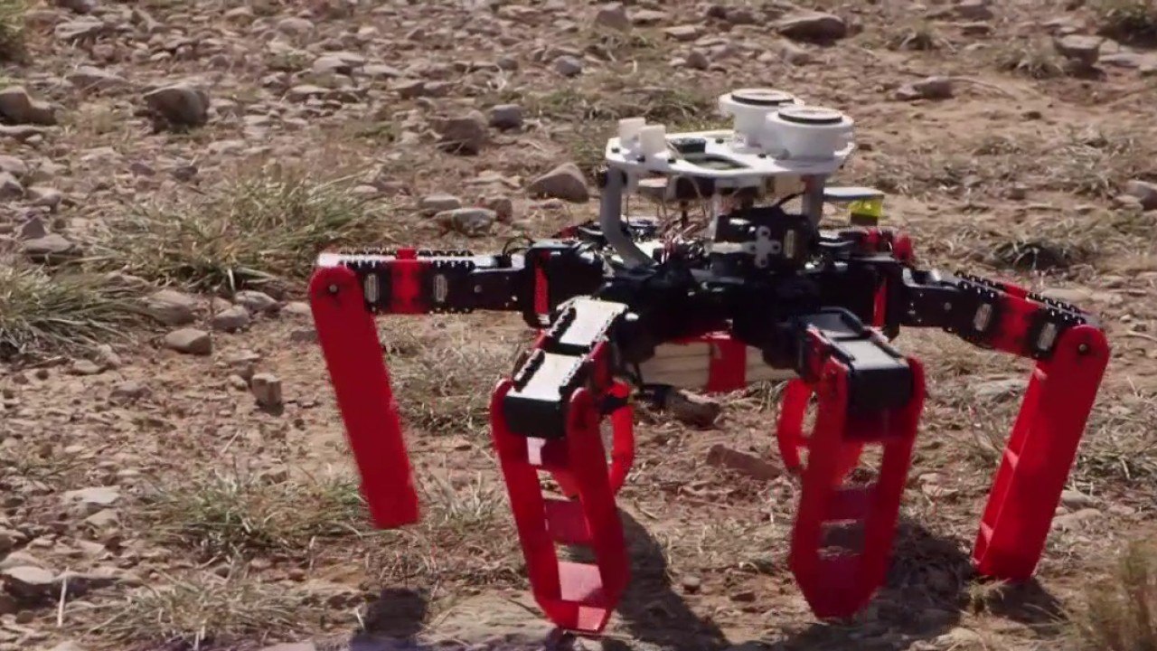 Sciences - Un robot très en vue