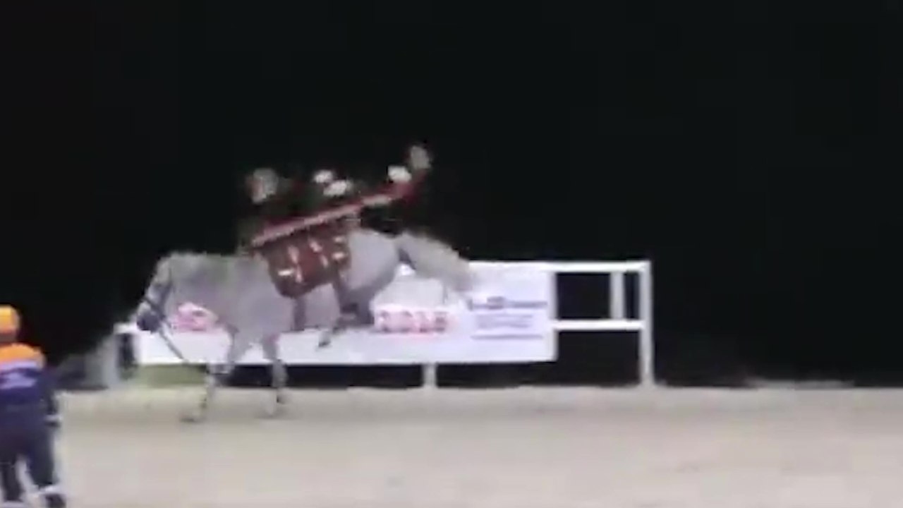 Des secouristes russes montrent comment transporter un blessé à cheval