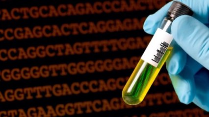 Technology through which we cant die