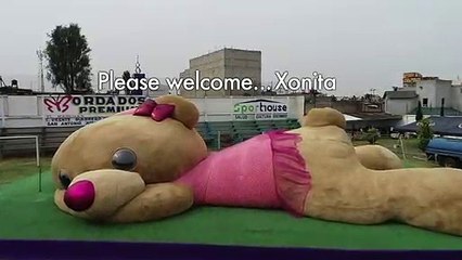 Unbearably cute: Giant teddy bear in Mexico