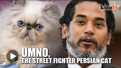 Khairy: Umno is a 'street fighter' Persian cat