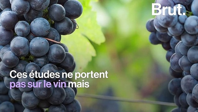 Le vin est-il bon pour la santé ?