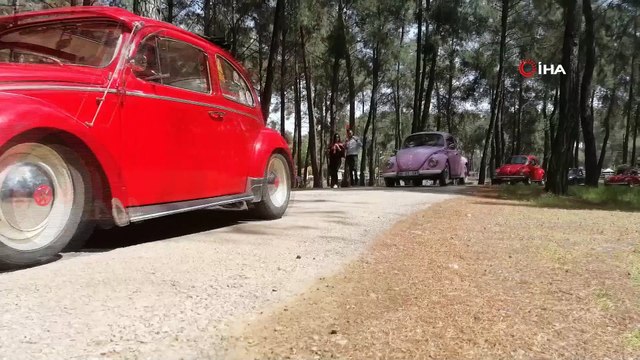 Vosvos araç tutkunları piknikte bir araya geldi