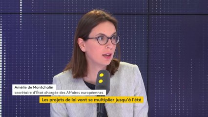 Loiseau "romanichelle" à l'ENA : " des mots maladroits", réagit de Montchalin