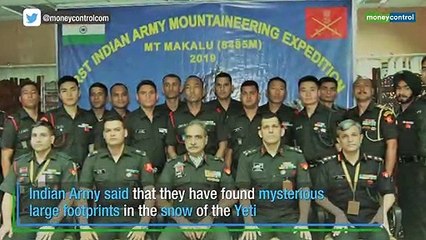 Beast from the east: Indian army's mountaineers reckon they've found Yeti footprints