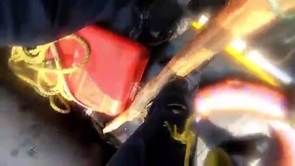Sailors rescue turtle trapped in fishing net in Arabian Sea