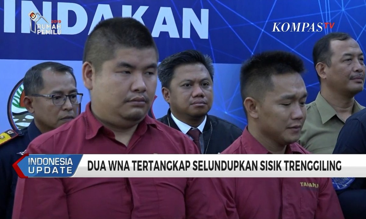 Hendak Selundupkan Sisik Trenggiling, 2 WN Tiongkok Ditangkap
