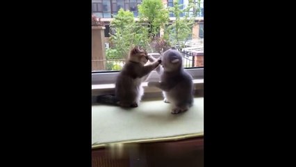 AWWWW SOOOOOOOOOOO CUTE