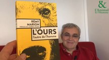 Interview 4 de Rémy Marion :   C’est le printemps, les ours sortent de leur tanière !    