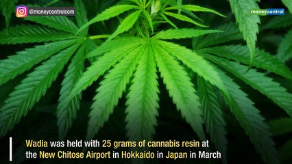 Ness Wadia sentenced to 2-year jail term in Japan on drug charge: Report