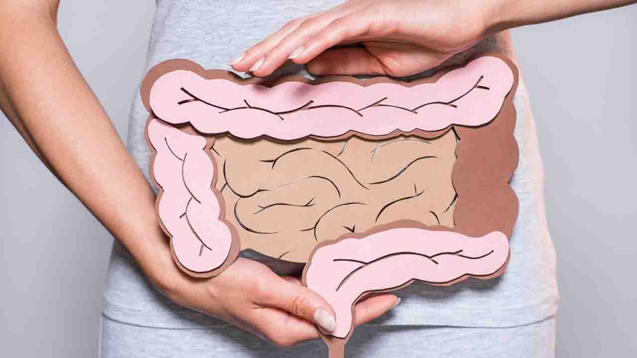 Nach Antibiotika: So wird die Darmflora wieder aufgebaut