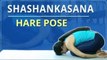 Learn How To Do The Hare Pose | Shashankasana |Simple Yoga For Beginners |Mind Body Soul