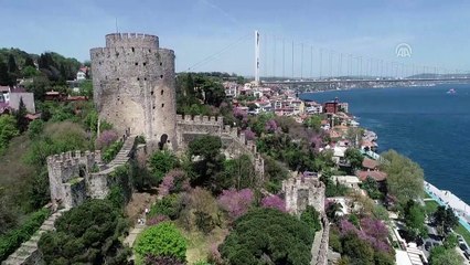 İstanbul'da erguvan zamanı