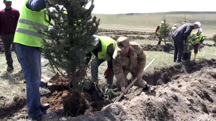 Kars Barajı çevresinde 2100 fidan toprakla buluştu