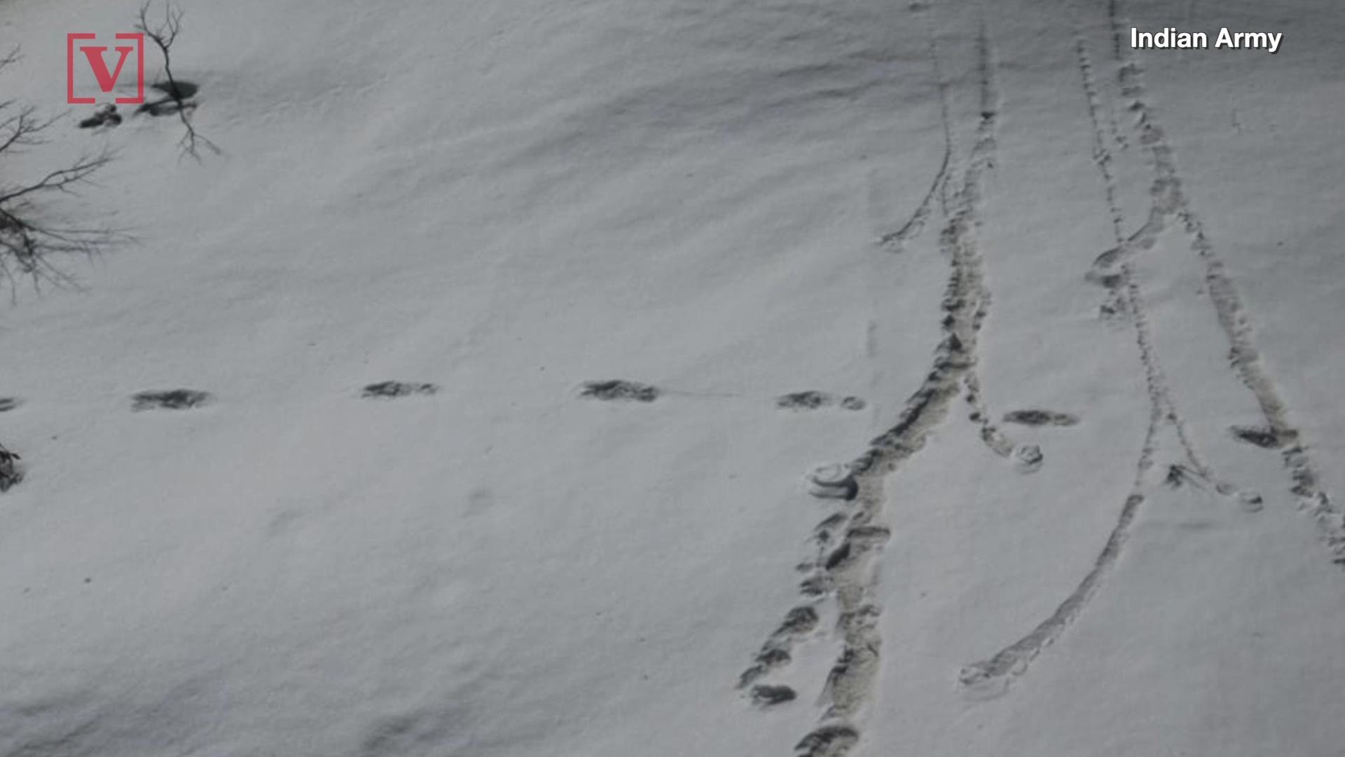 ⁣Did The Indian Army Just Find Evidence of The ‘Abominable Snowman’?
