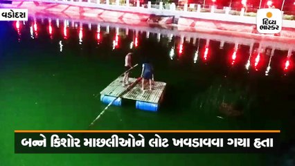 પાદરામાં મામાને ઘરે વેકેશન માણવા ગયેલા બે કિશોરના તળાવમાં ડૂબી જતા મોત, પરિવારમાં માતમ