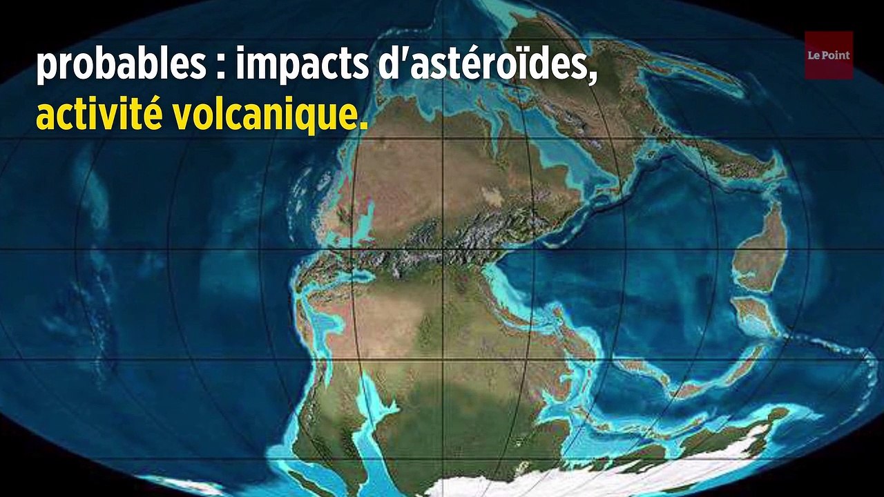 Crétacé, Permien, Dévonien... Les principales « extinctions de masse »