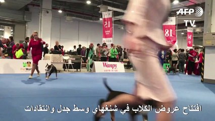 افتتاح عروض الكلاب في شنغهاي وسط جدل وانتقادات