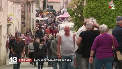 Charente-Maritime : chasseurs et défenseurs d'oiseaux disent non aux éoliennes