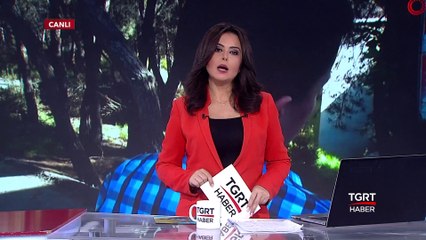 Çekirdeği Taş Sandı, Çocuğu Dövdü