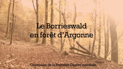 Le camp du Borrieswalde, en forêt d'Argonne